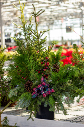 Custom Christmas Greenery Arrangements