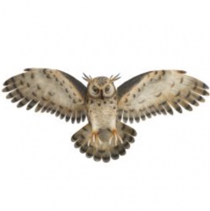 Long-Eared Owl Wall Decor 32"
