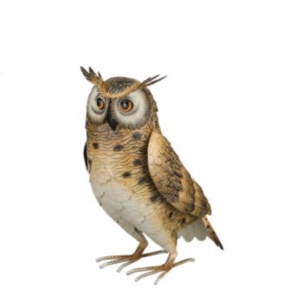 Long Eared Owl 14"