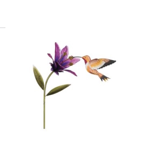 Rufous Hummingbird & Flower Stake