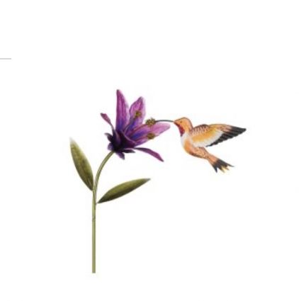Rufous Hummingbird & Flower Stake