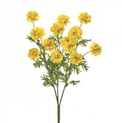 Yellow Ruffle Cosmos Bush 20"