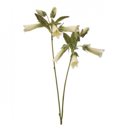 Cream Hummingbird Flower Stem 27"