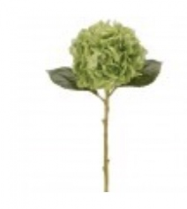 Green Hydrangea Stem 18.5"
