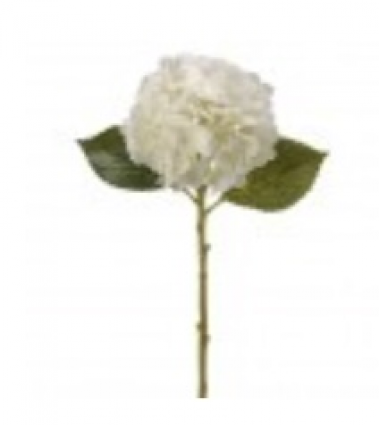 Cream & White Hydrangea Stem 18.5"