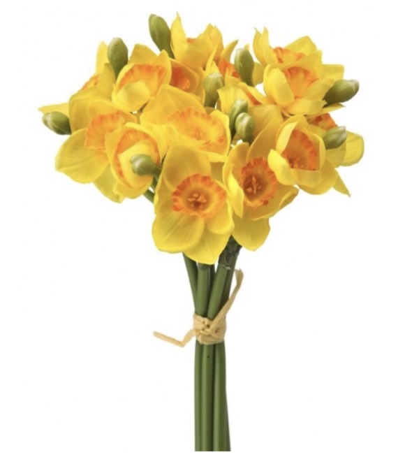 Yellow & Orange Narcissus Bundle 12"