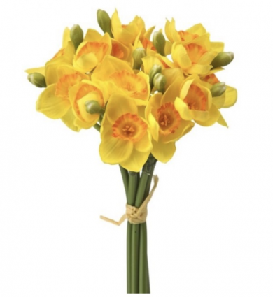 Yellow & Orange Narcissus Bundle 12"