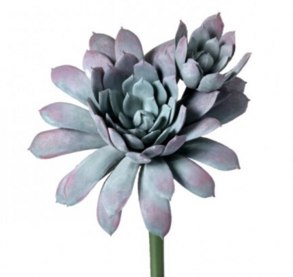 Blue & Purple Kale Succulent Pick 7"