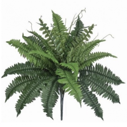Estate Boston Fern Stem 22"