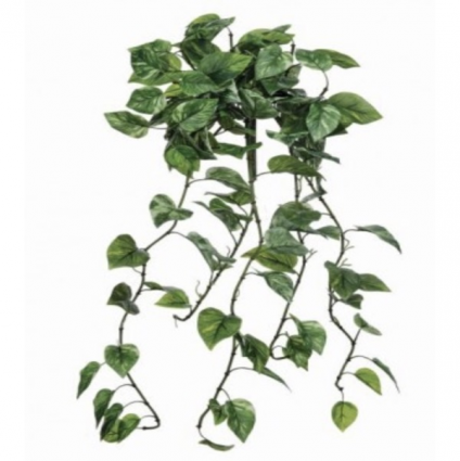 Natural Touch Pothos Hanging Plant 42"
