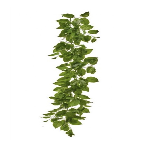 Salal Leaf Garland 60"