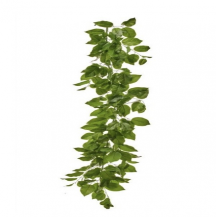 Salal Leaf Garland 60"