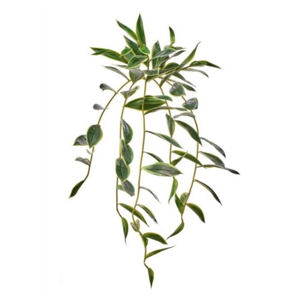 Trailing Bamboo Stem 31"