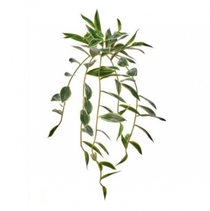 Trailing Bamboo Stem 31"