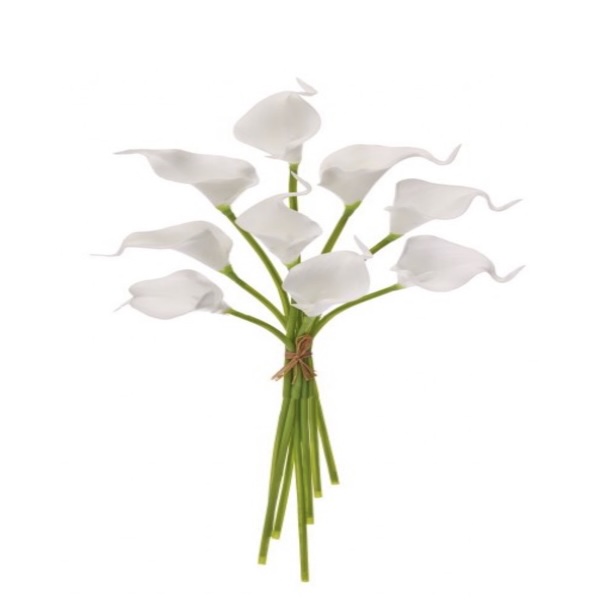BUNDLE, 14" MINI CALLAS LILY