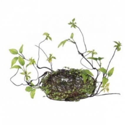 NEST, 6" BABYTEARS W/VINE
