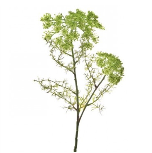 Green Summer Dill Spray 29"