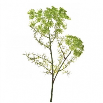 Green Summer Dill Spray 29"