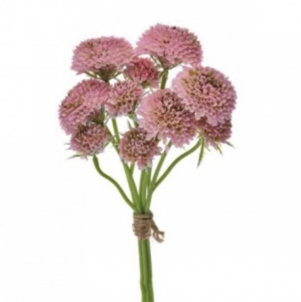 Pink Scabiosa Bundle 14"