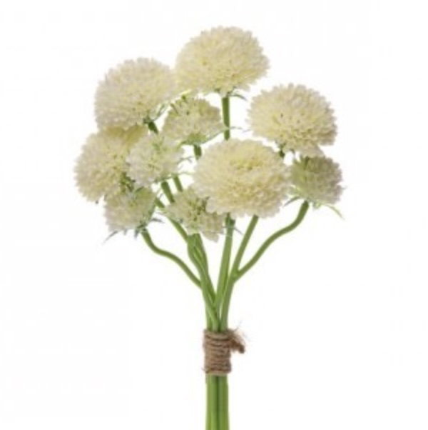 BUNDLE, 14" CREAM SCABIOSA