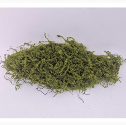 Green Moss Bark 19"