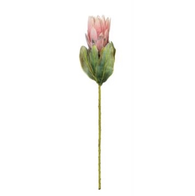 Salmon Protea Spray 22.5"