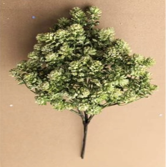 Green & White Sedum Spray 16"