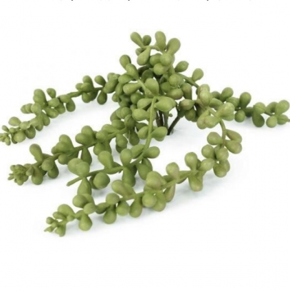 String of Pearls Pick 7"