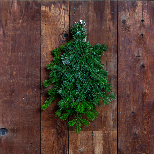 Fresh Silver Fir Christmas Greenery&nbsp;&nbsp;Bunch