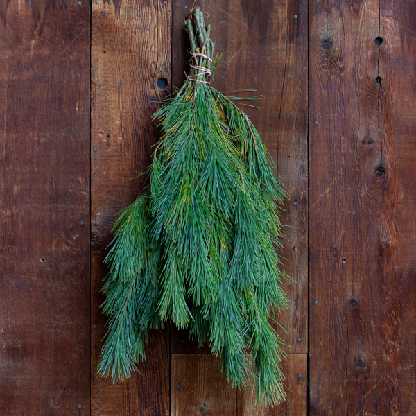 Fresh Pine Greenery Bunch