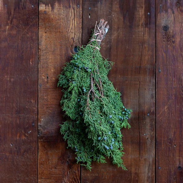 Fresh Juniper Greenery Bunch