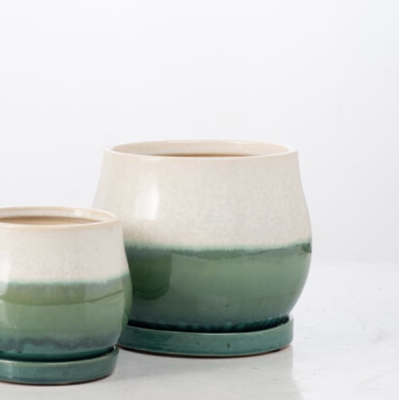 Cactus Tri-Tone Mesa Pot � Medium