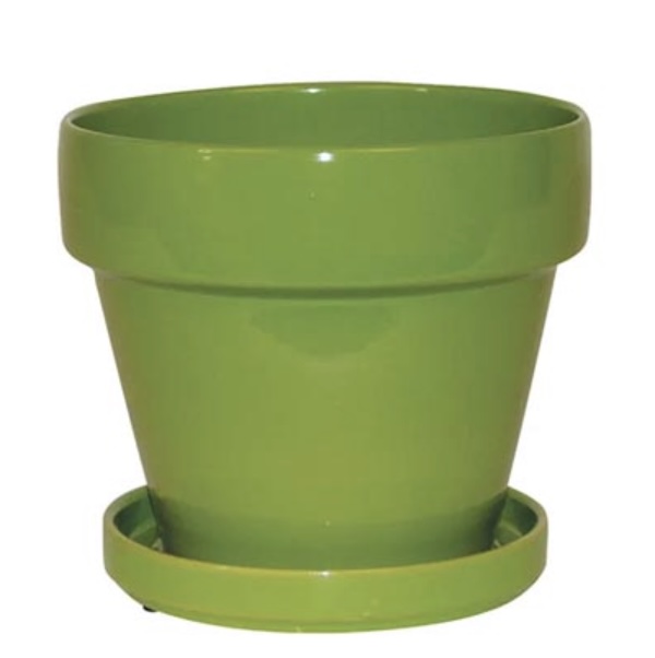 Standard Apple Green Pot 4.5"W