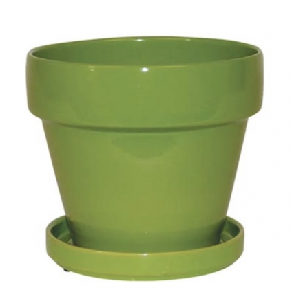 Standard Apple Green Pot 4.5"W