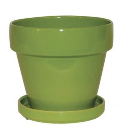 Standard Apple Green Pot 5.5"W