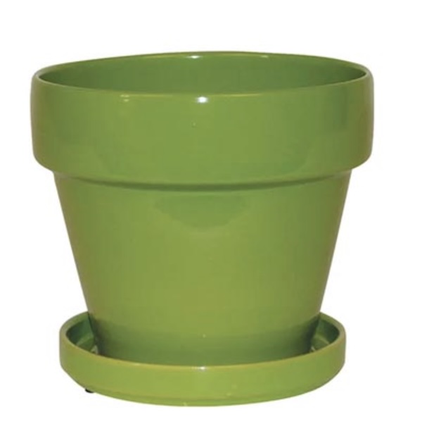 Standard Apple Green Pot 7.5"W