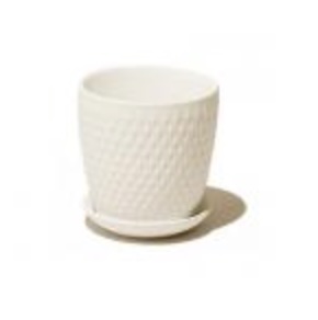 Virago White Ceramic Planter