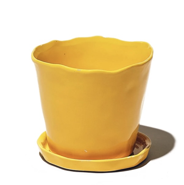 Meadowlark Yellow Tika Ceramic Pot & Saucer Set With Drainage