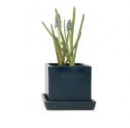 Cube Planter with Saucer � Green/Blue � 3"