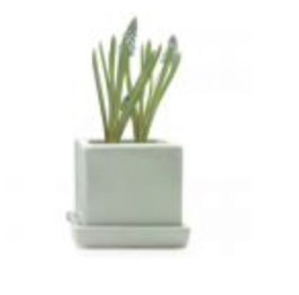 Cube Planter with Saucer � Spearmint � 3"