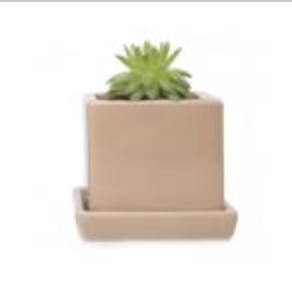 Cube Planter with Saucer � Tan � 3"