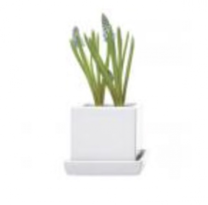 Cube Planter with Saucer � White � 3"