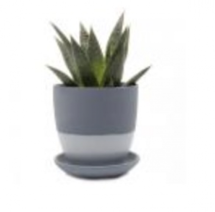 Dyad Planter with Saucer � Blue Grey � 3.25"