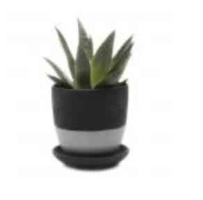 Dyad Planter with Saucer � Black � 3.25"