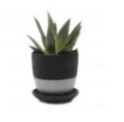 Dyad Planter with Saucer � Black � 3.25"