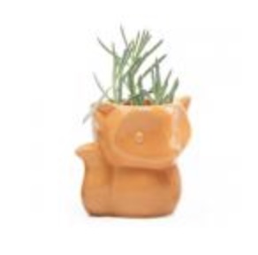 Fox Planter � Orange