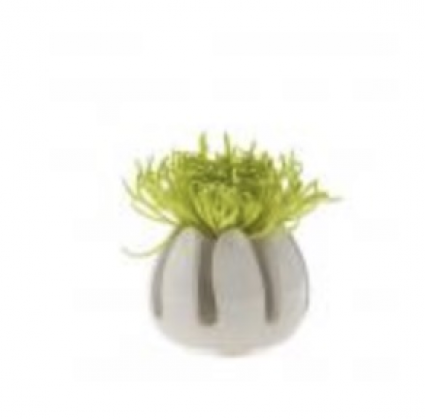 Gideon Grassy Planter � White