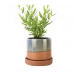 Minute 2 Terracotta Pot � 3"