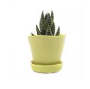 Tika Green Sheen Pot with Saucer � 3"