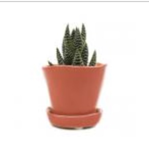 Tika Orange Pot with Saucer � 3"